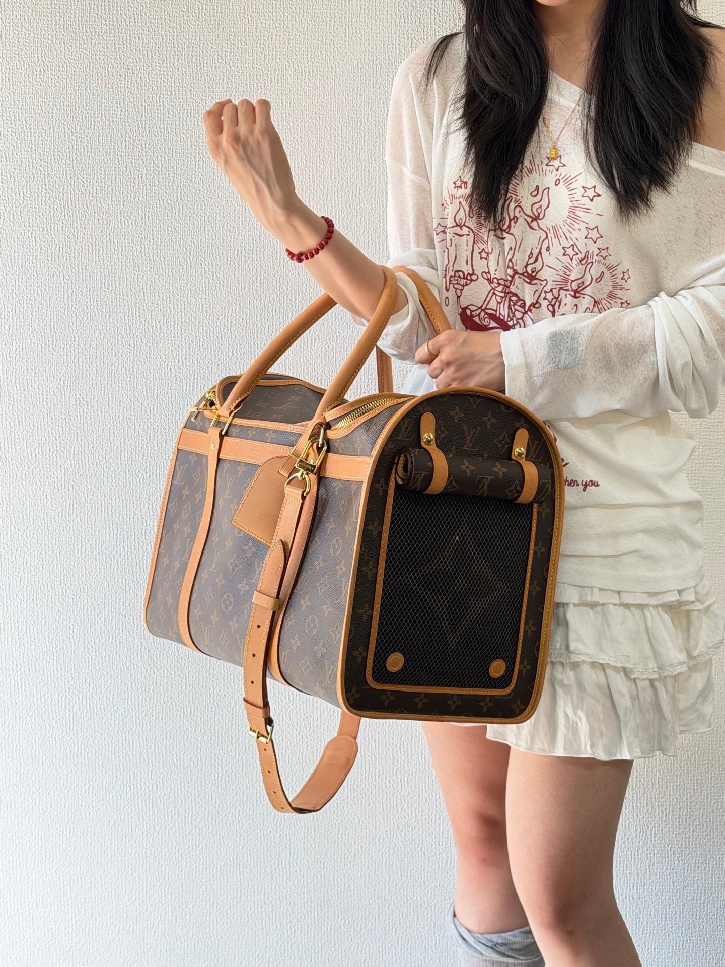 Louis Vuitton Monogram Sac Chien Pet Carrier
