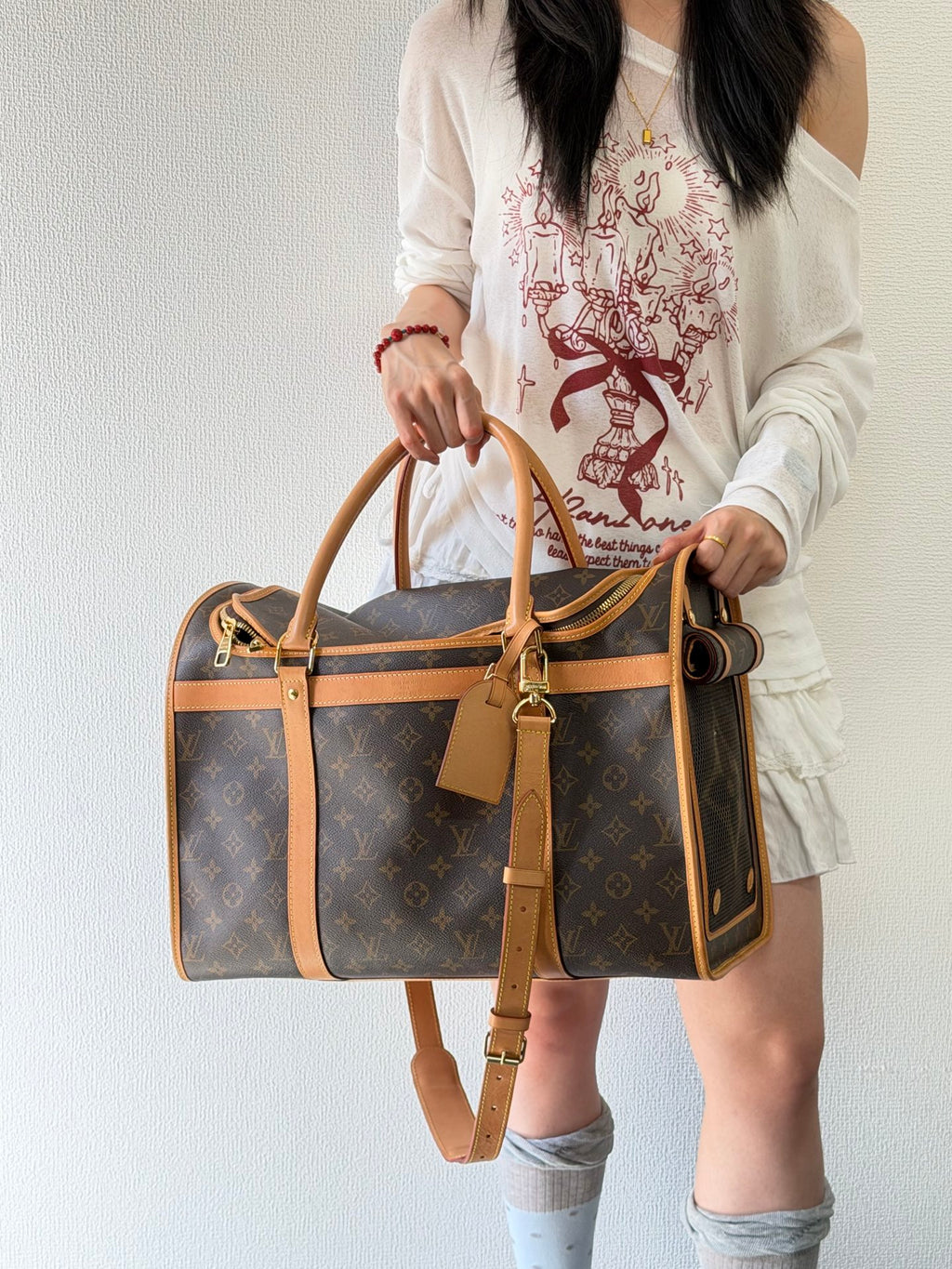 Louis Vuitton Monogram Sac Chien Pet Carrier