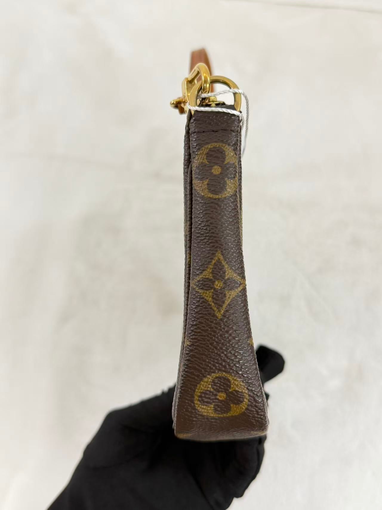 Louis Vuitton Pochette Accessoires Monogram Canvas
