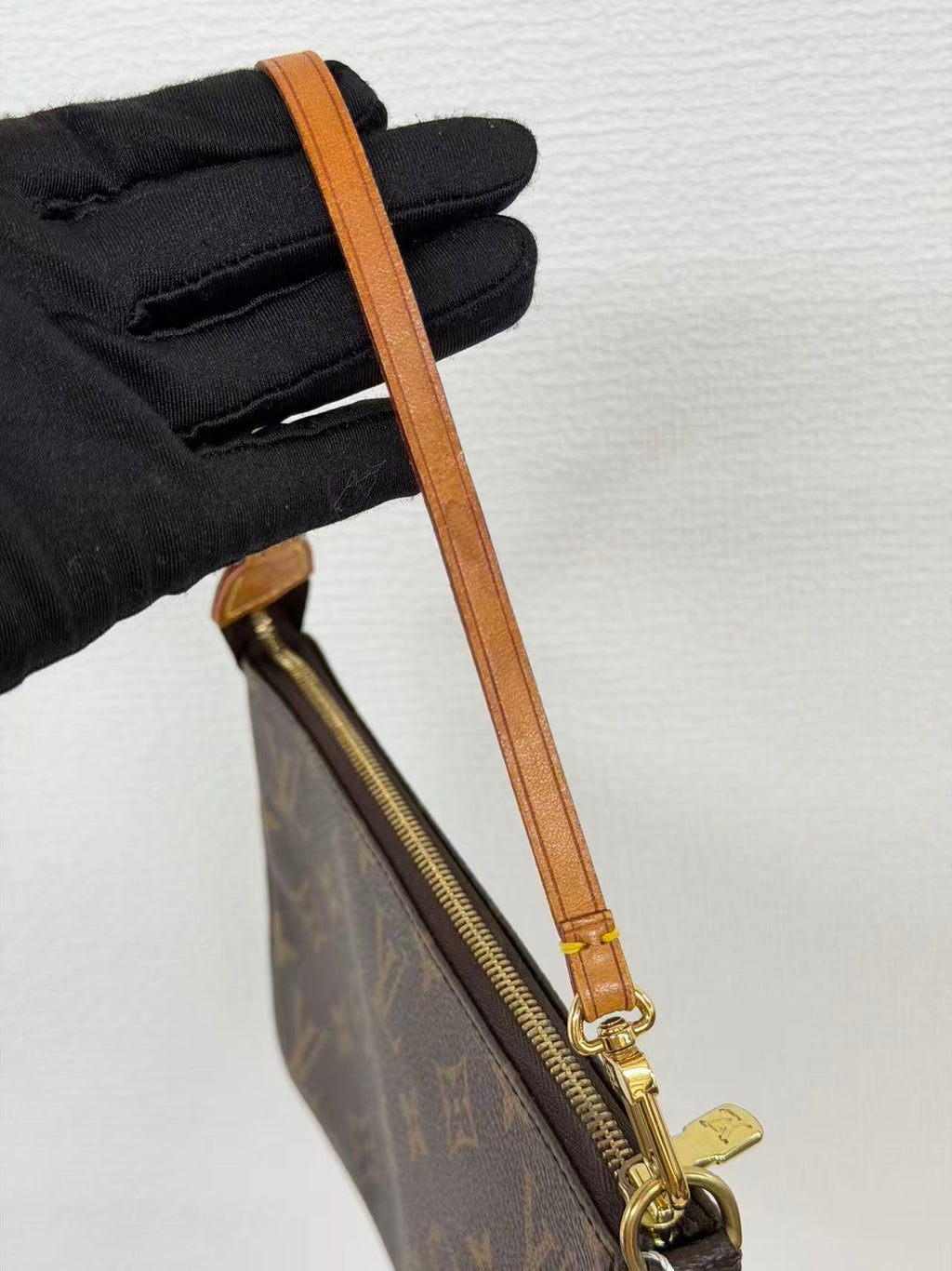 Louis Vuitton Pochette Accessoires Monogram Canvas