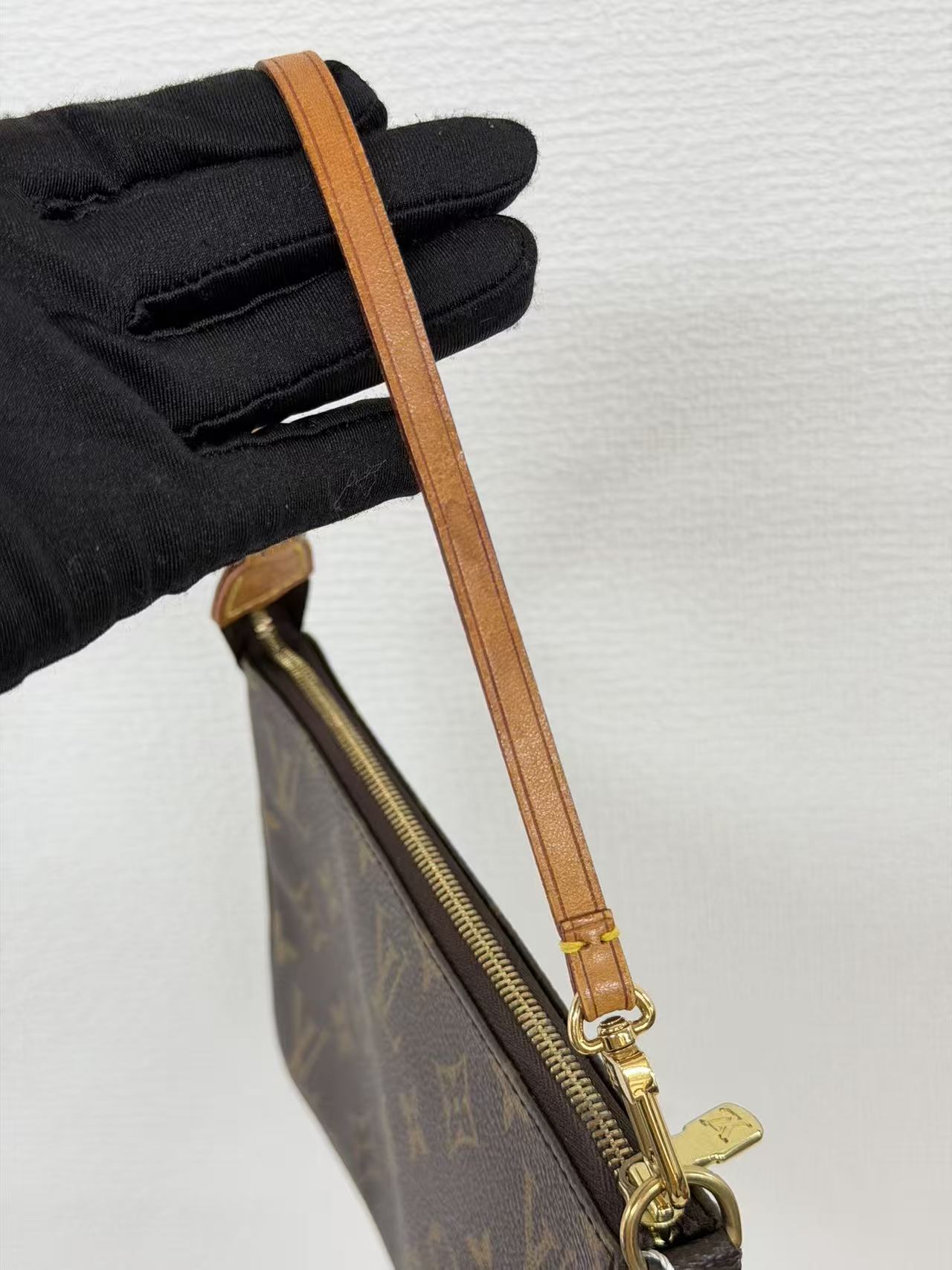 Louis Vuitton Pochette Accessoires Monogram Canvas