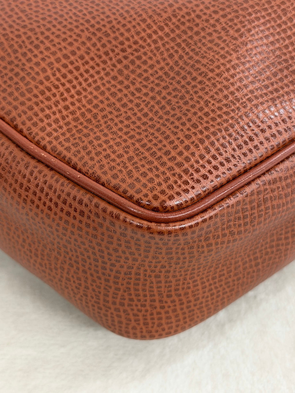 Christian Dior  CD Oval Hardware Leather Camera Bag