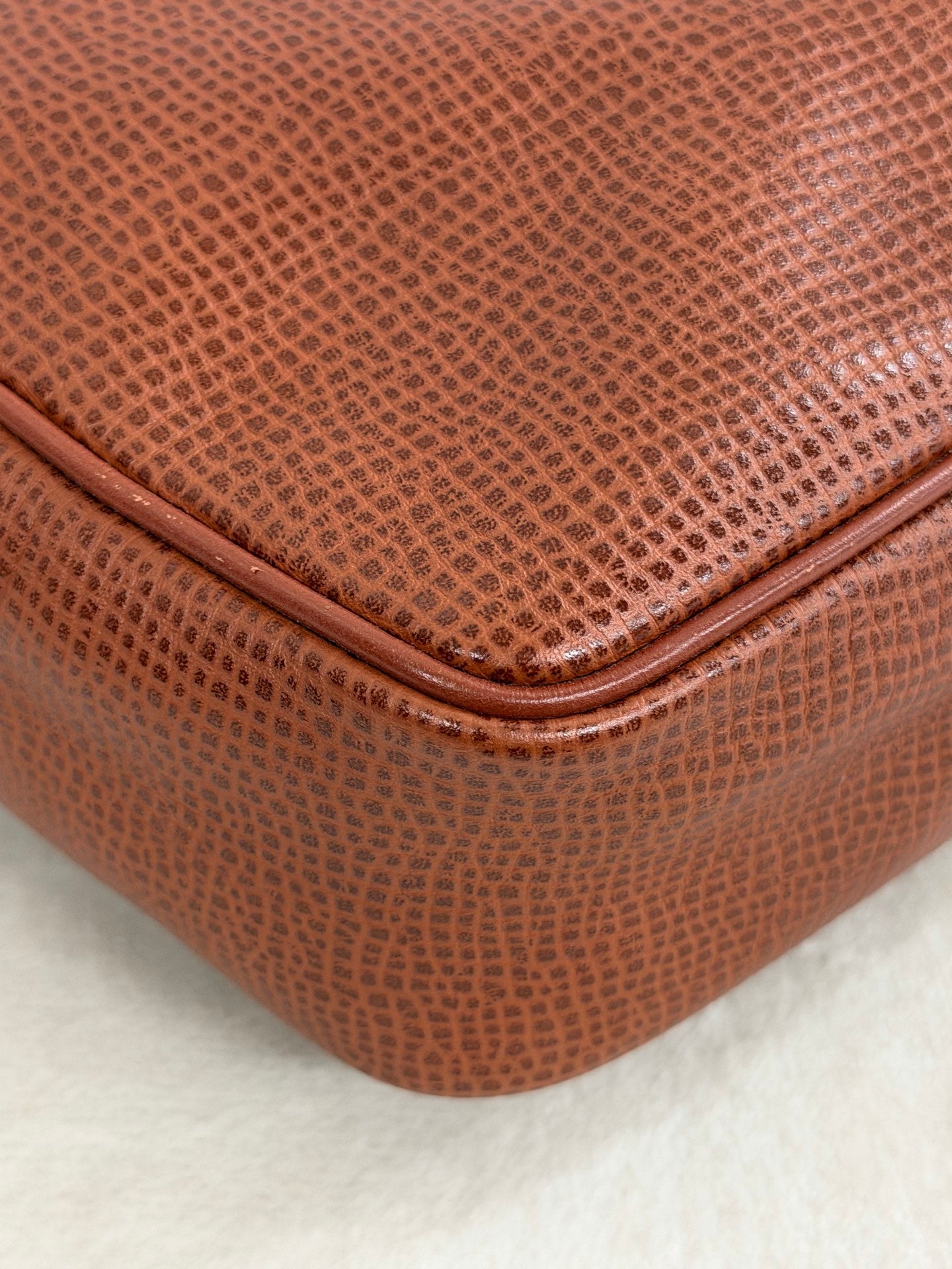 Christian Dior  CD Oval Hardware Leather Camera Bag