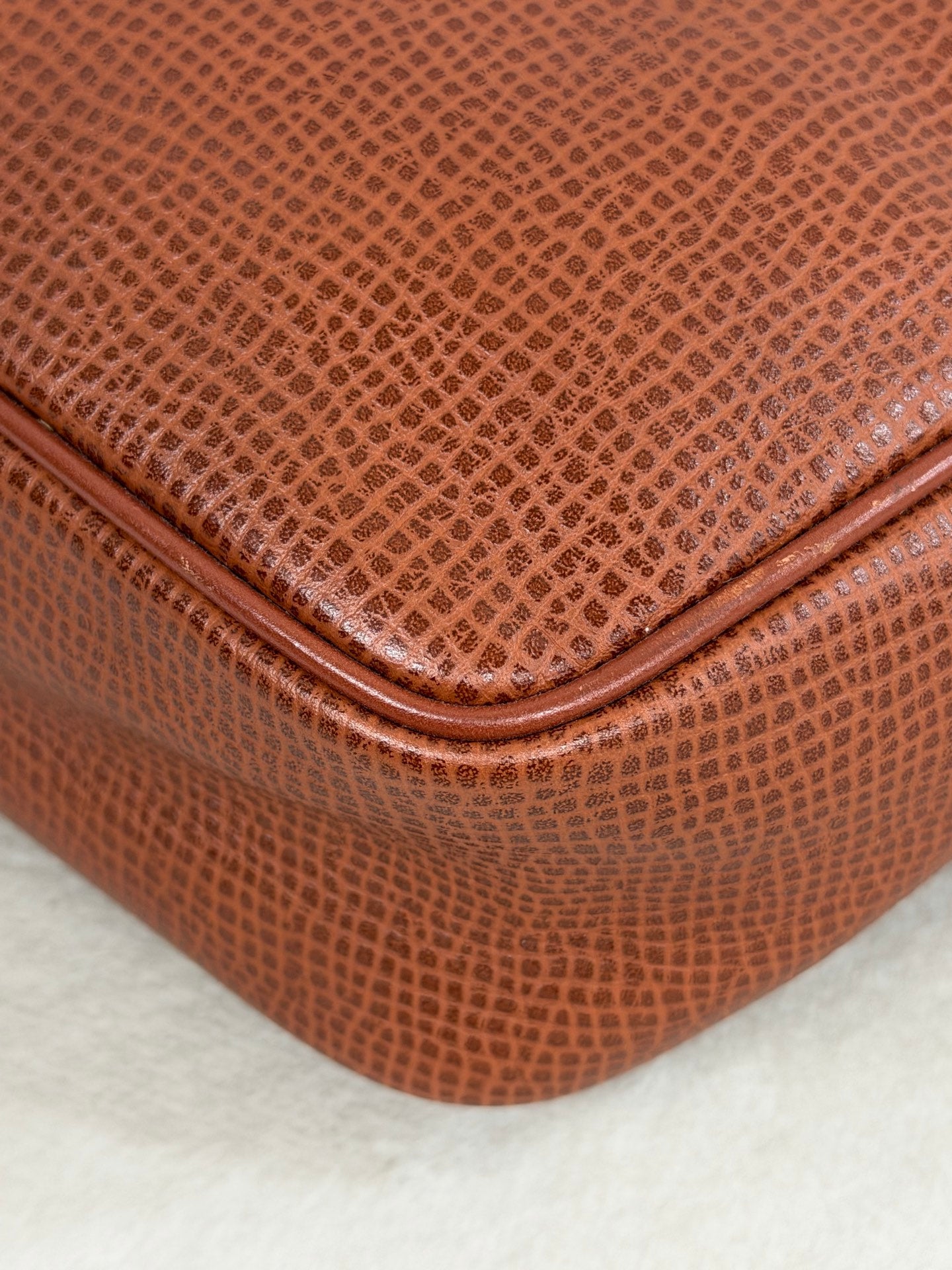 Christian Dior  CD Oval Hardware Leather Camera Bag