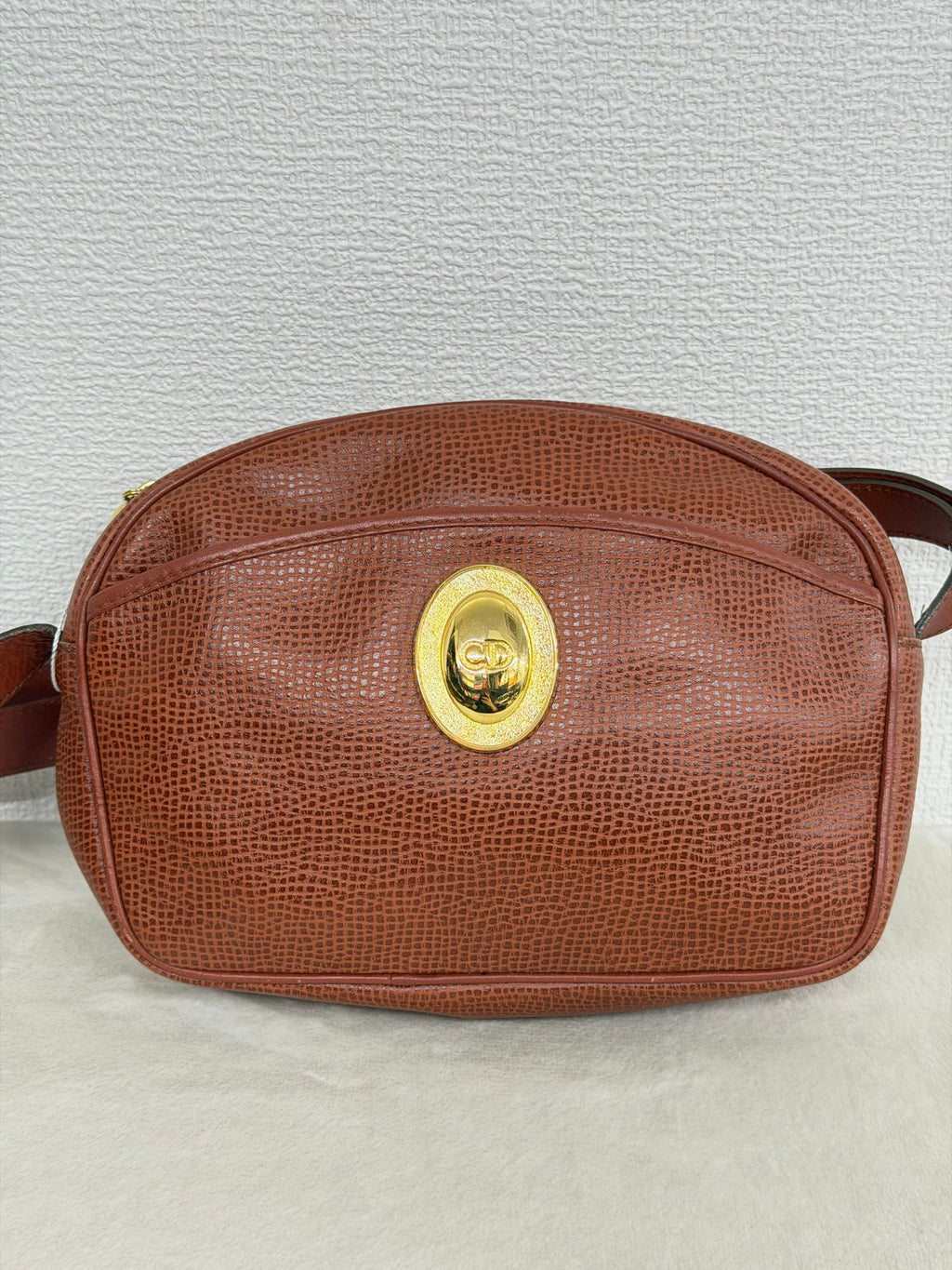 Christian Dior  CD Oval Hardware Leather Camera Bag