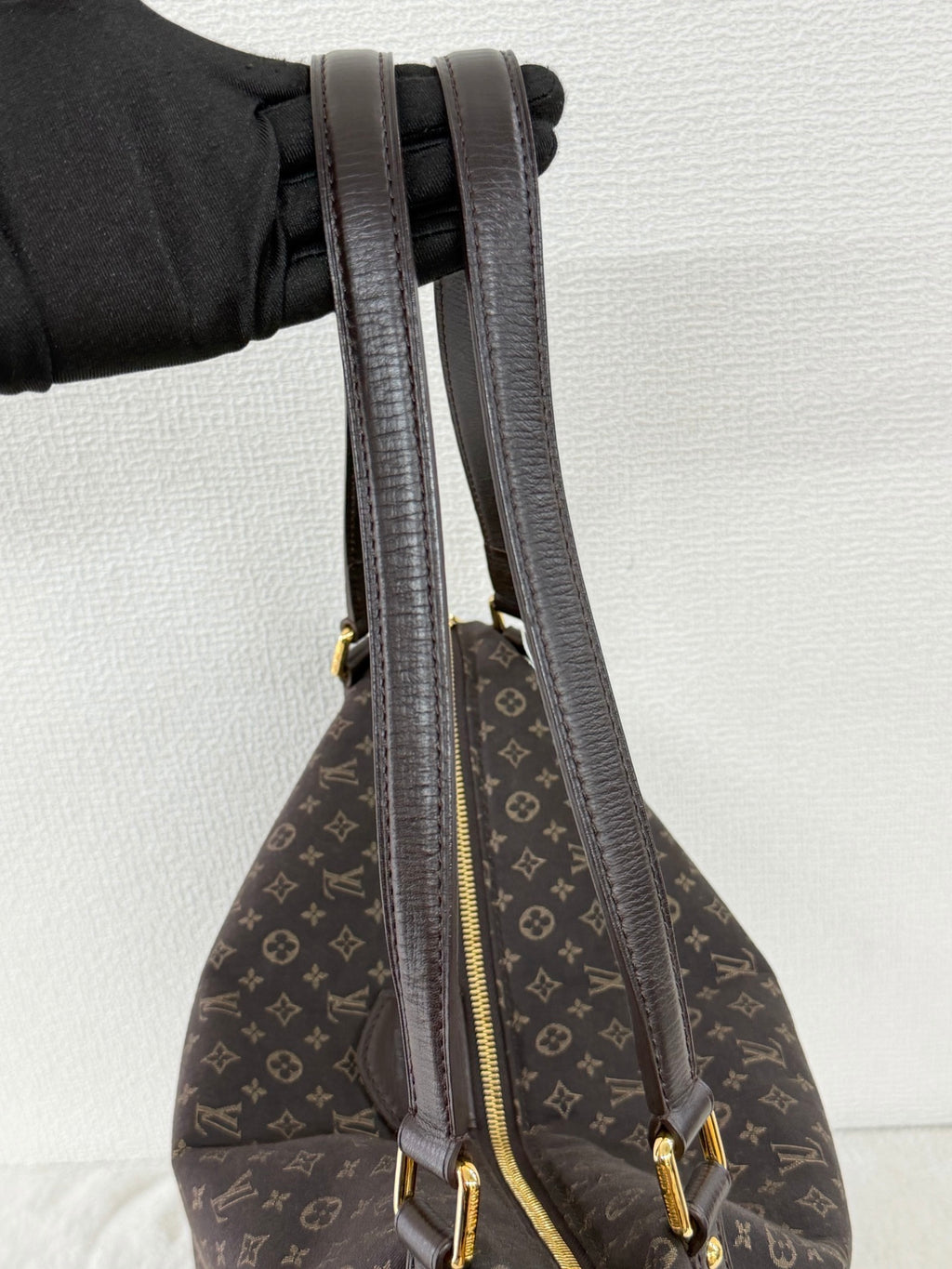 Louis Vuitton Monogram Idylle Ballade Bag