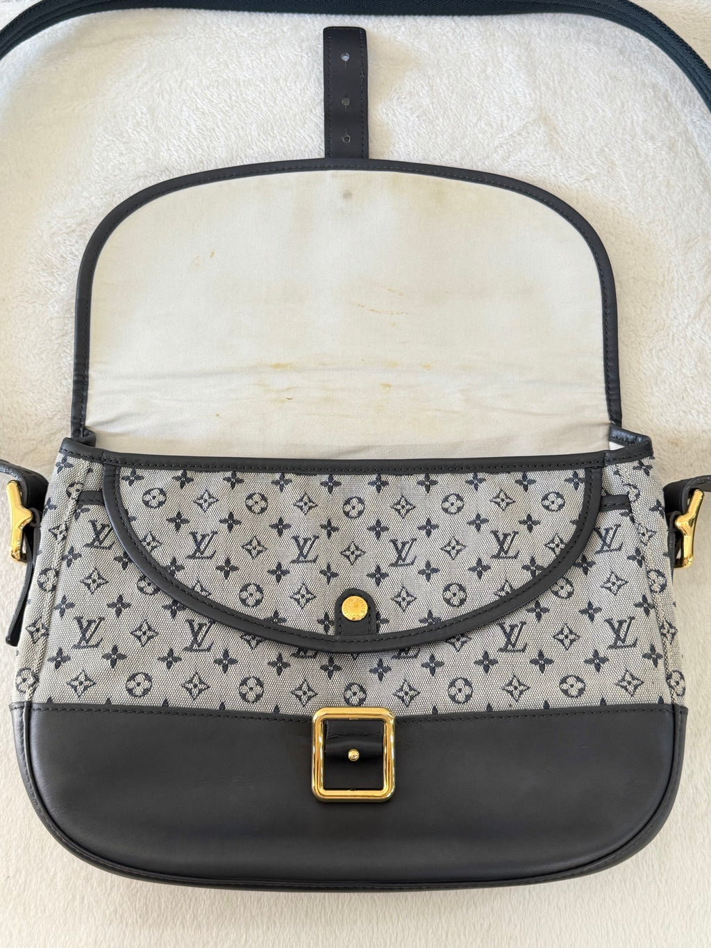 Louis Vuitton Monogram Mini Lin Bérangère Shoulder Bag