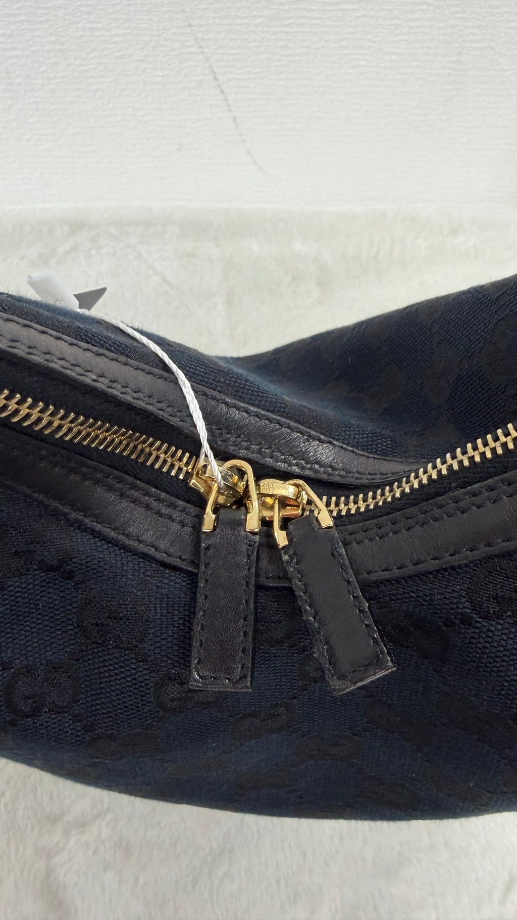 Gucci GG Canvas Crescent Hobo Bag