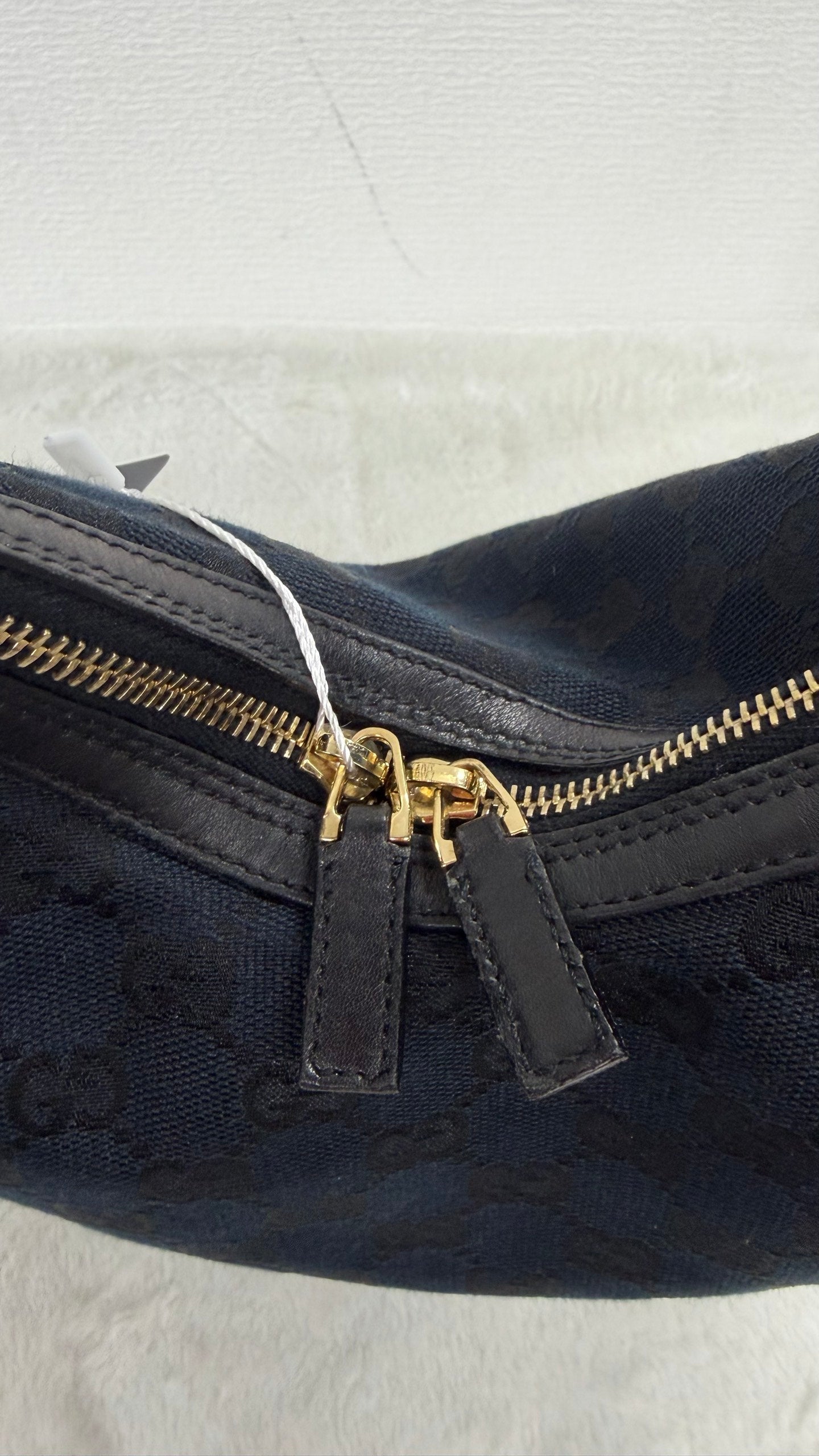 Gucci GG Canvas Crescent Hobo Bag