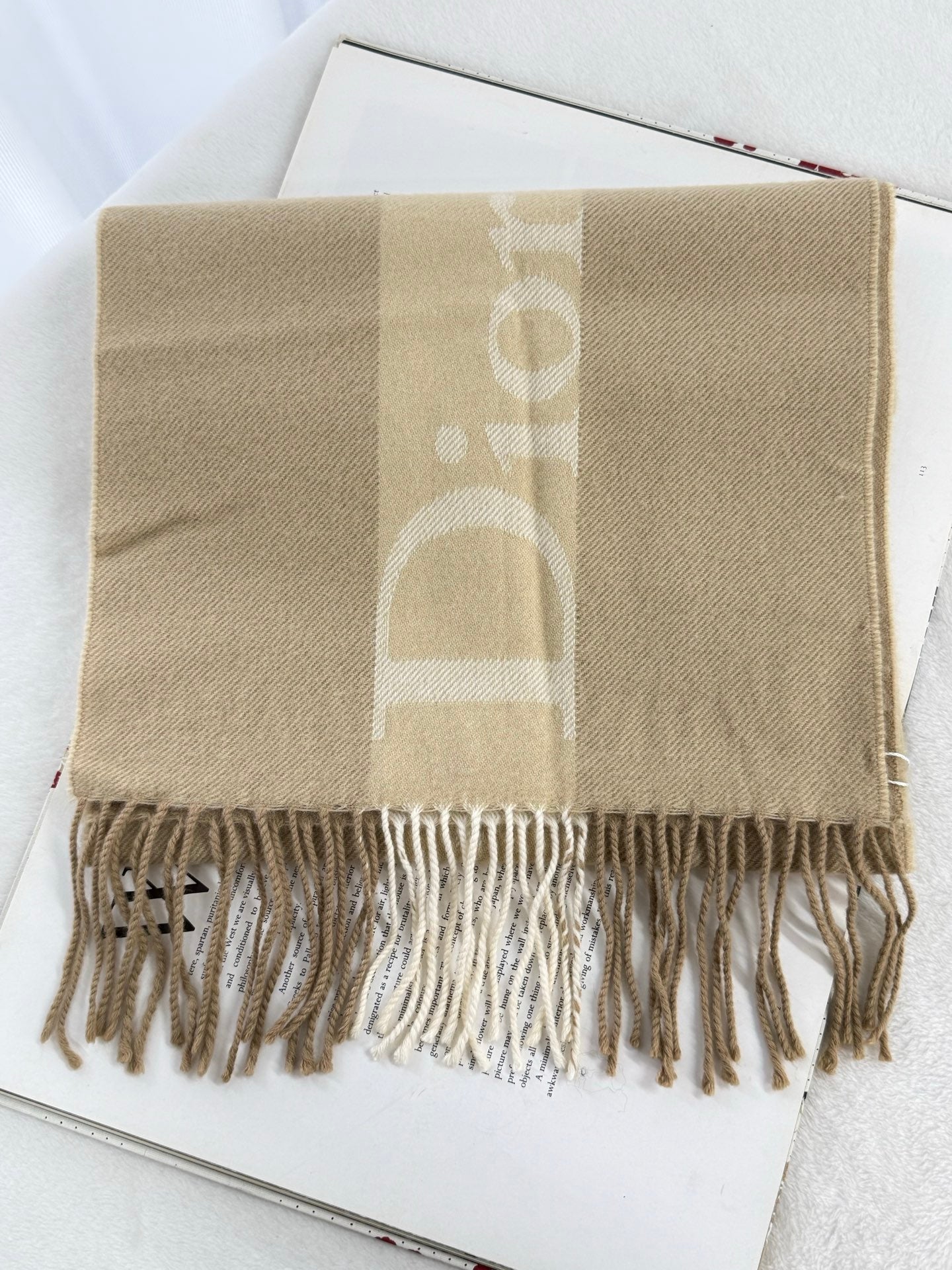 Christian Dior Vintage Logo Fringed Scarf