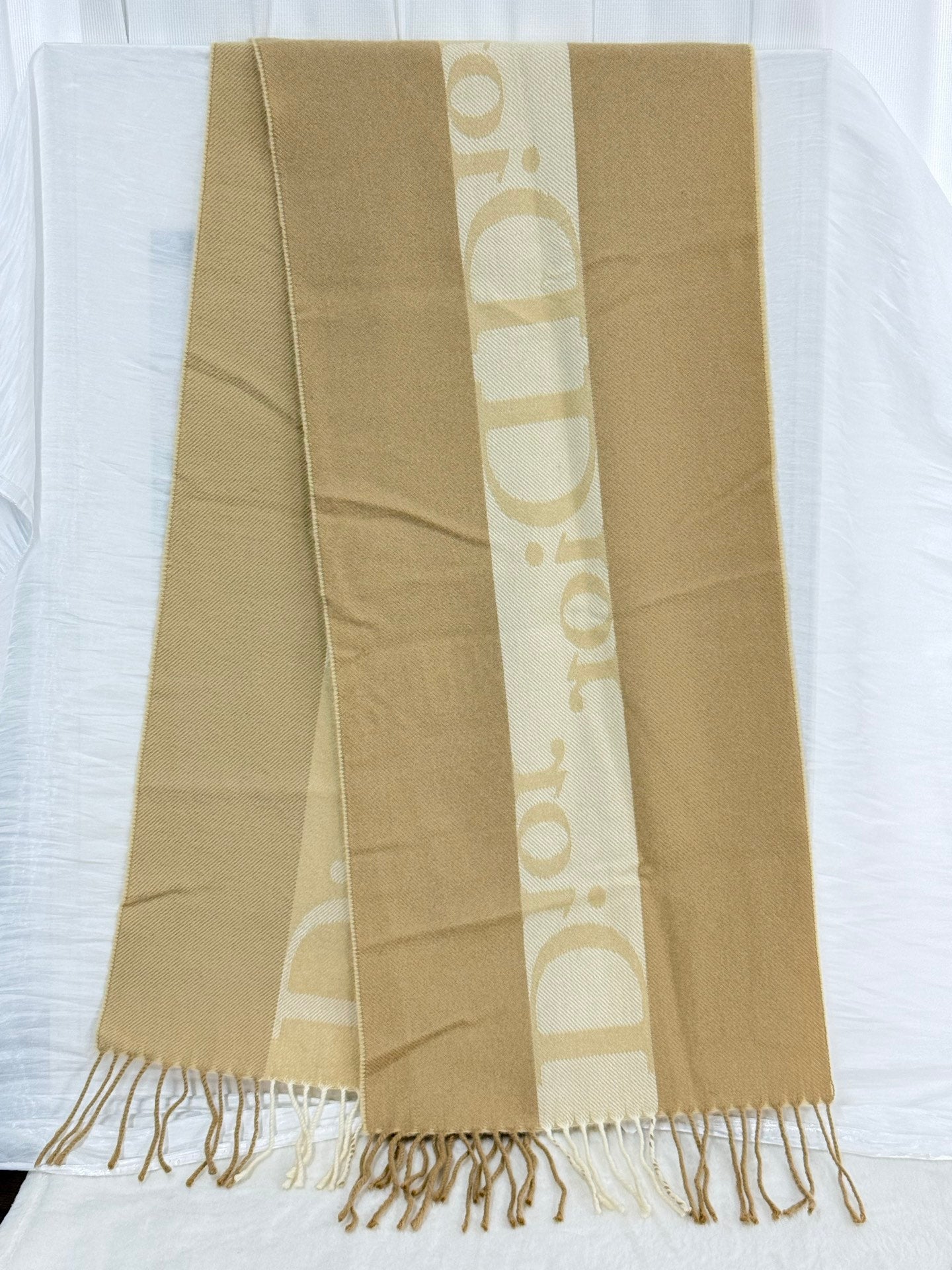 Christian Dior Vintage Logo Fringed Scarf