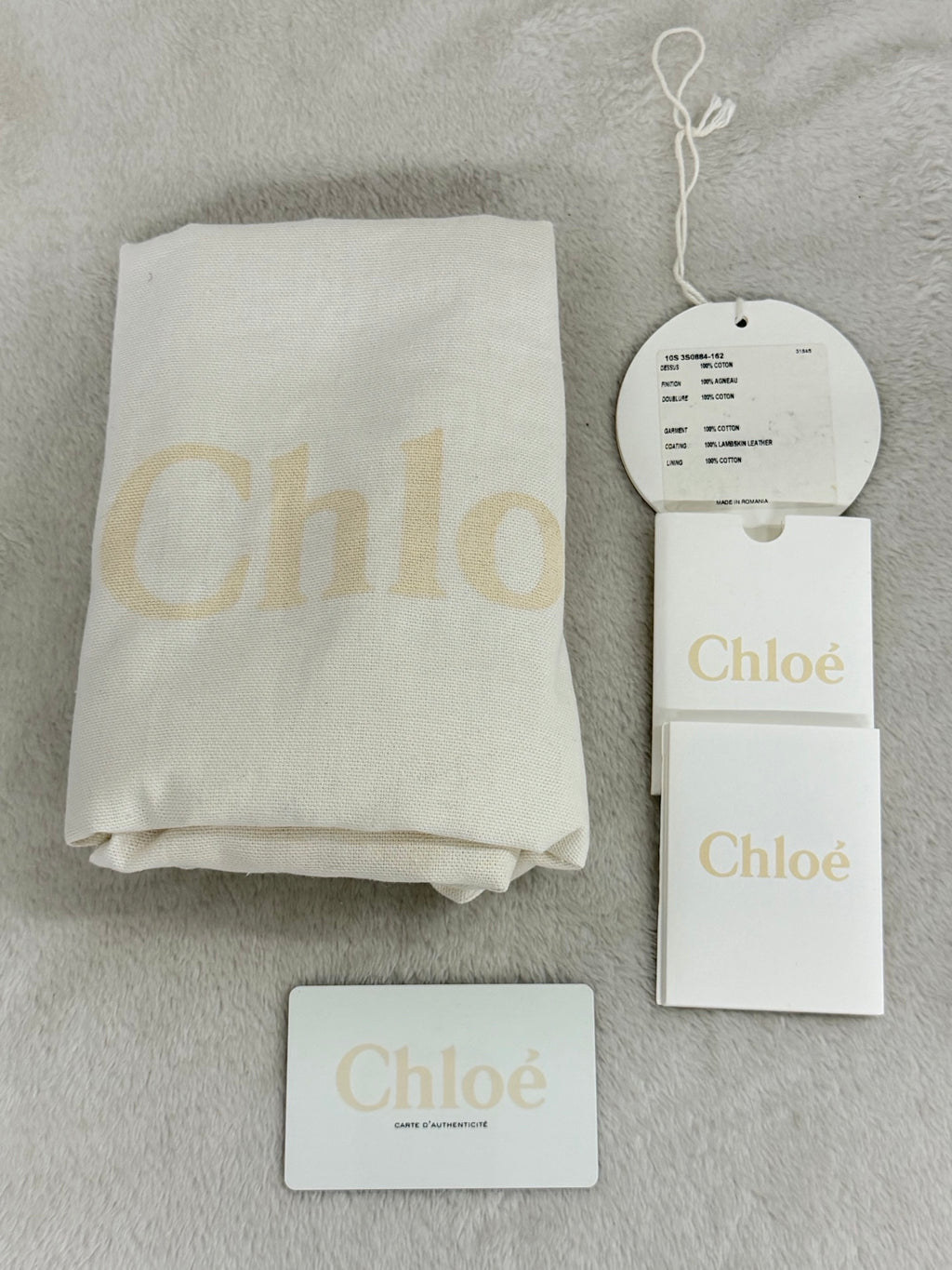 Chloé Vintage Logo Patch Canvas Shoulder Bag