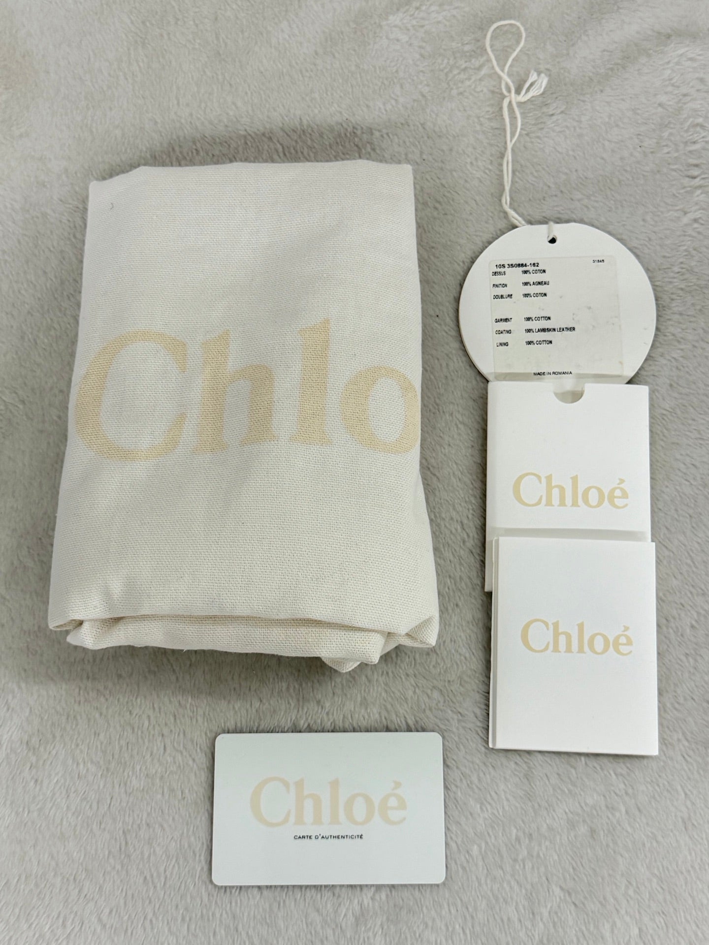 Chloé Vintage Logo Patch Canvas Shoulder Bag