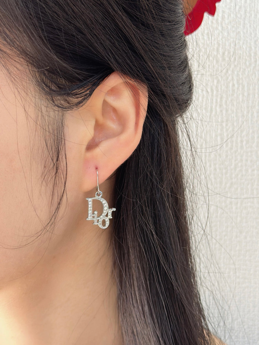 Dior Oblique Silver Logo Earrings