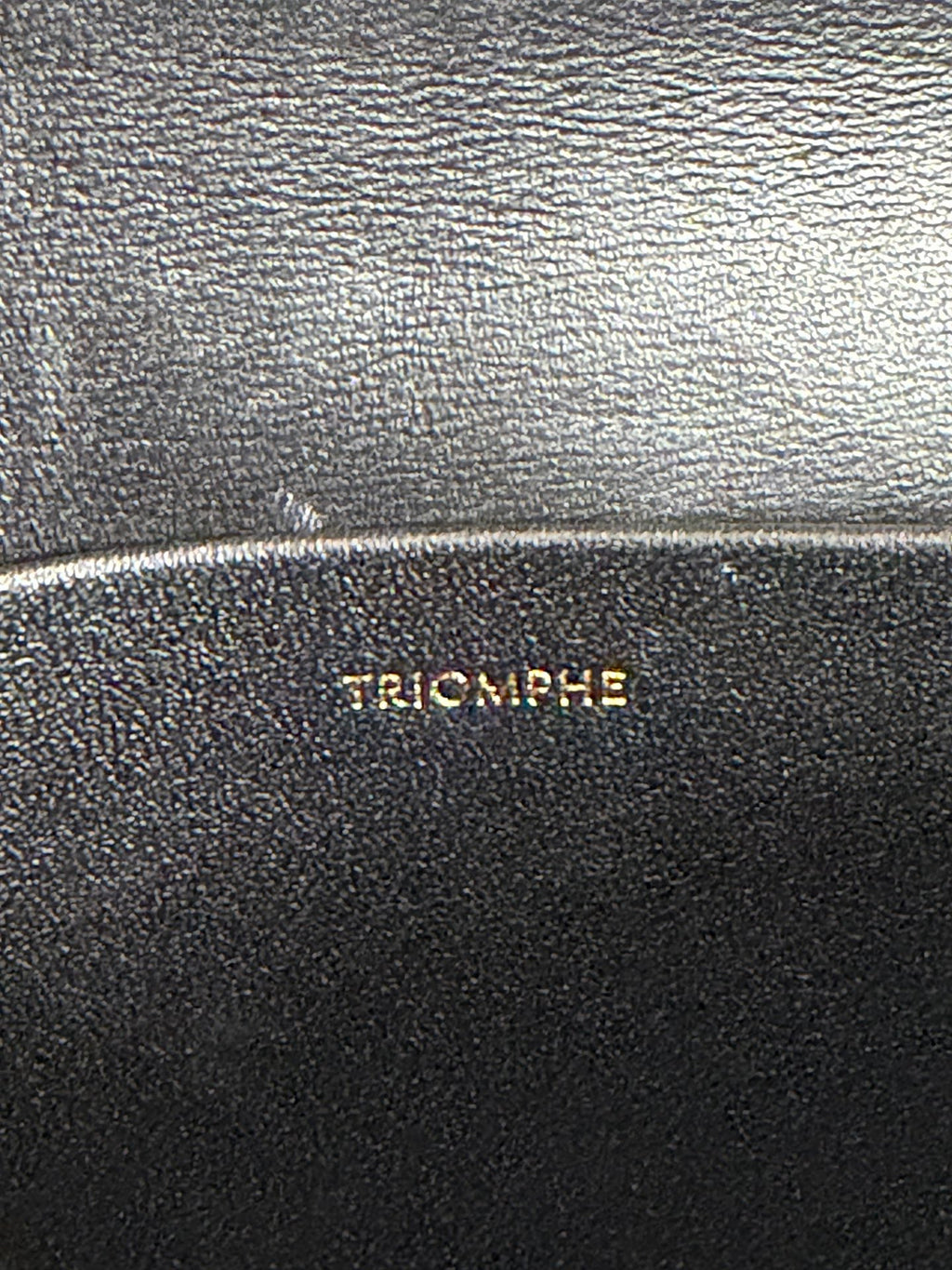 CELINE Triomphe Leather Chain Bag