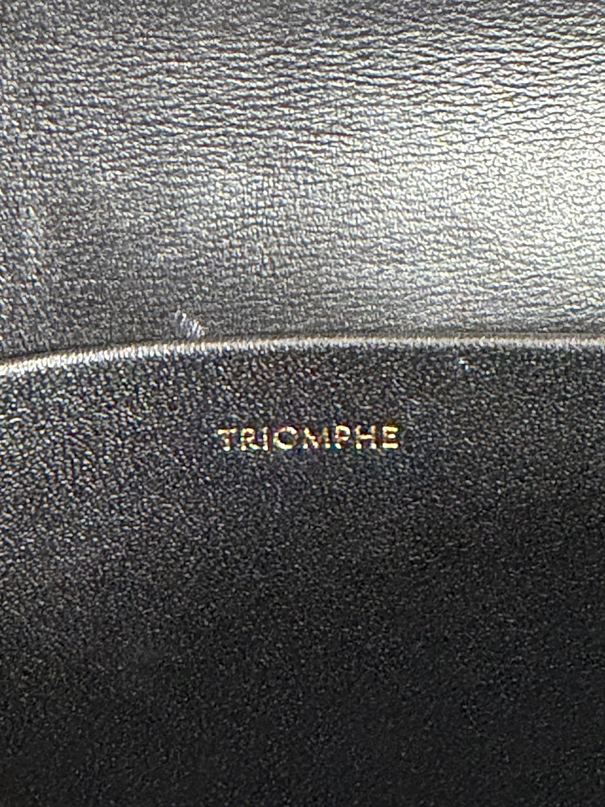 CELINE Triomphe Leather Chain Bag