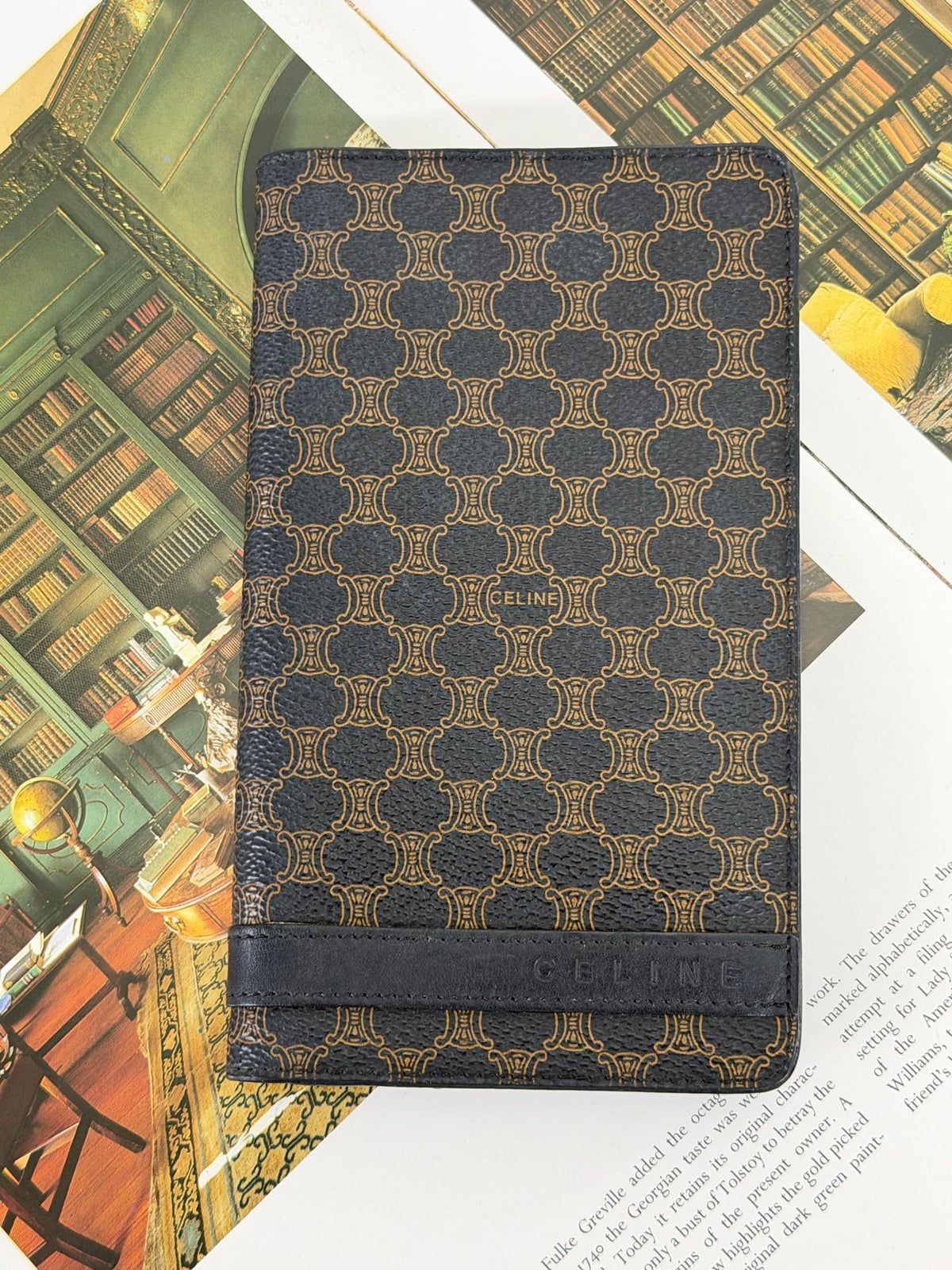 Celine Triomphe Canvas Long Wallet