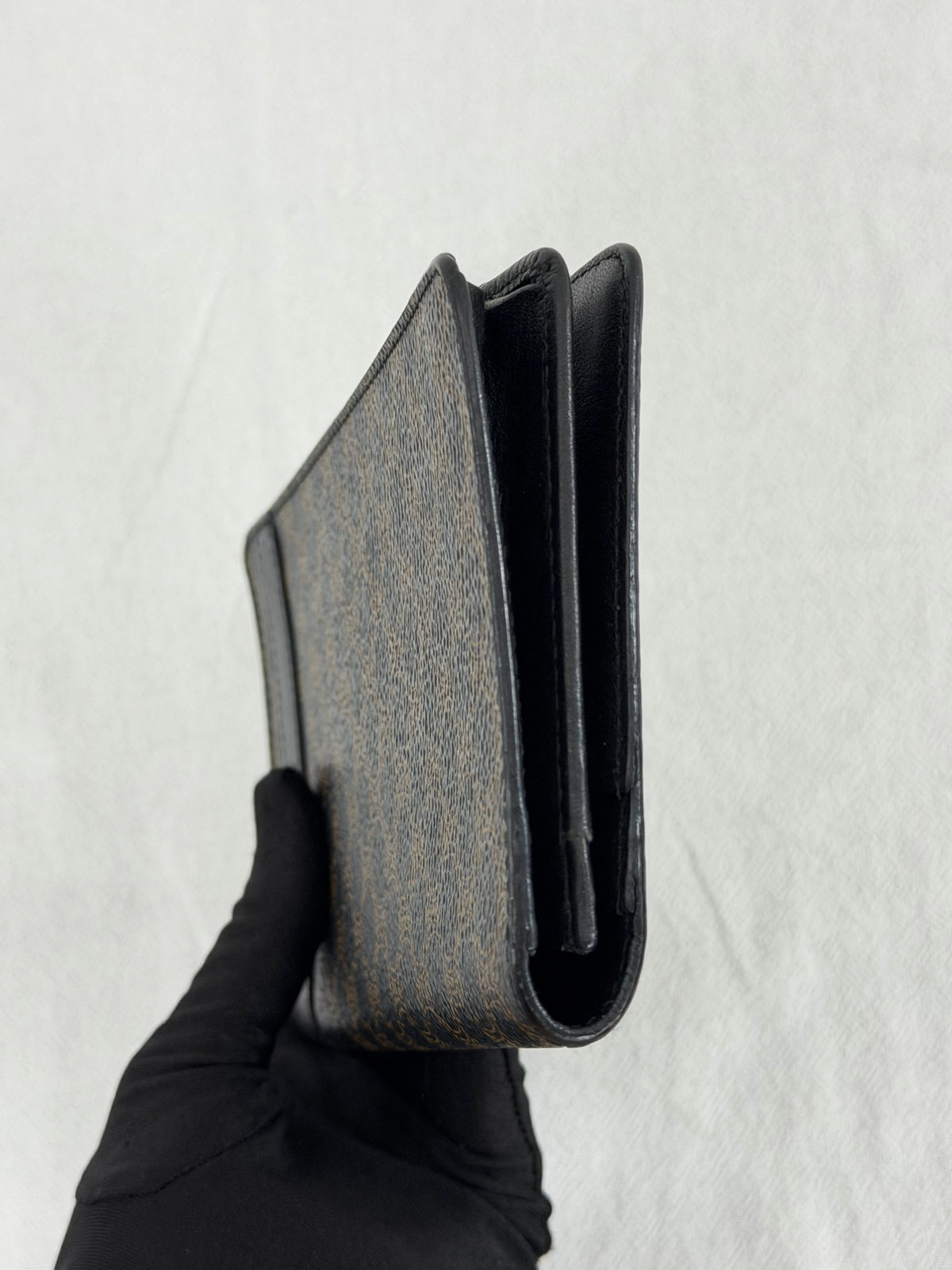 Celine Triomphe Canvas Long Wallet