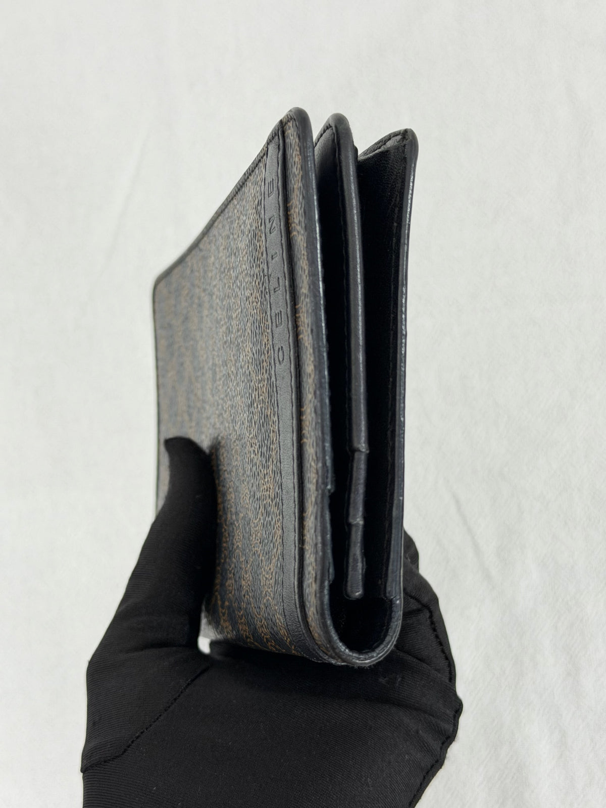 Celine Triomphe Canvas Long Wallet