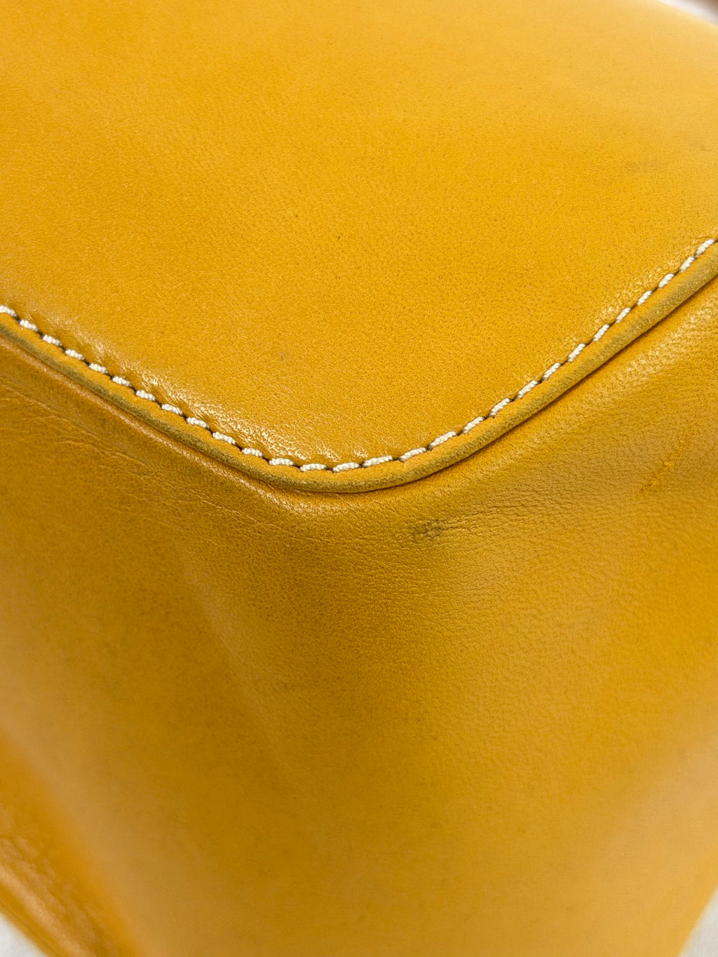 Loewe Vintage Nappa Leather Aire Handbag Yellow