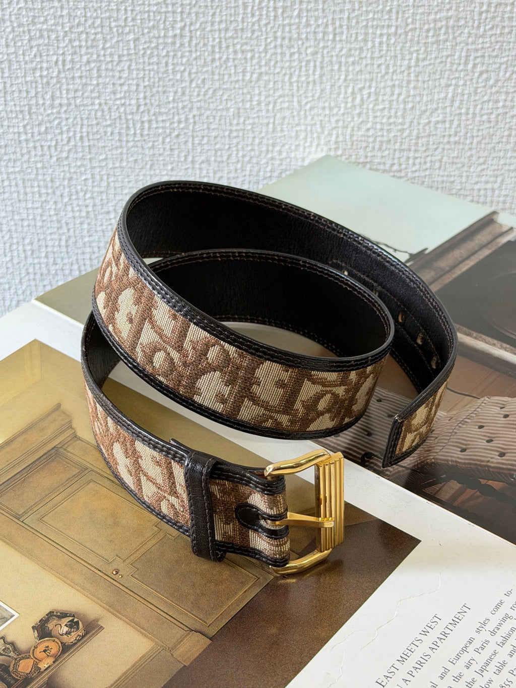 DIOR D'oblique  Canvas Belt