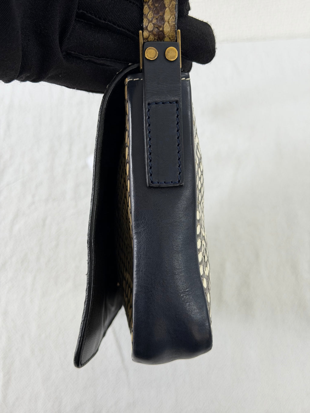 CELINE Python Leather Shoulder Bag