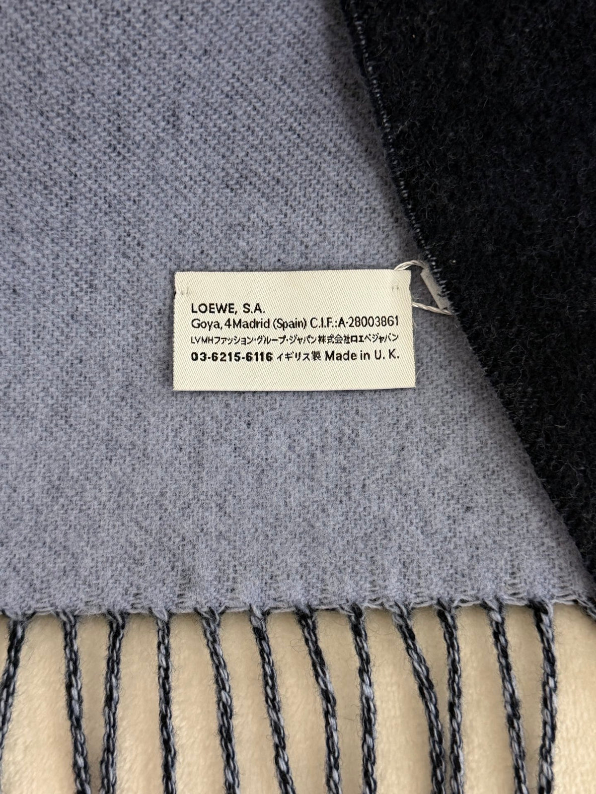 LOEWE Bicolor Anagram Cashmere Scarf