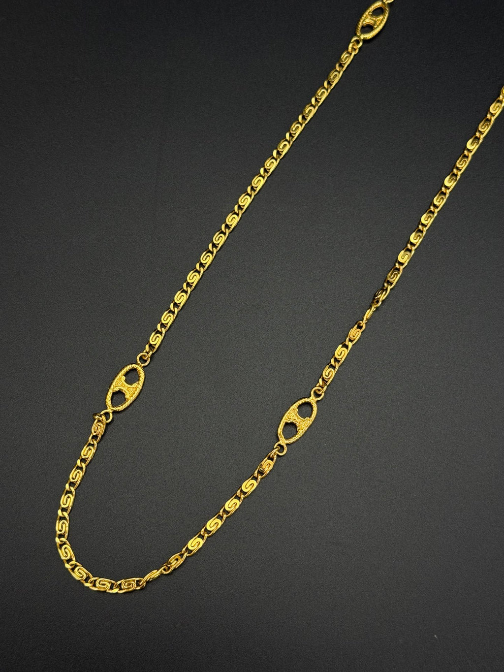 CELINE Triomphe Macadam Station Long Chain Necklace