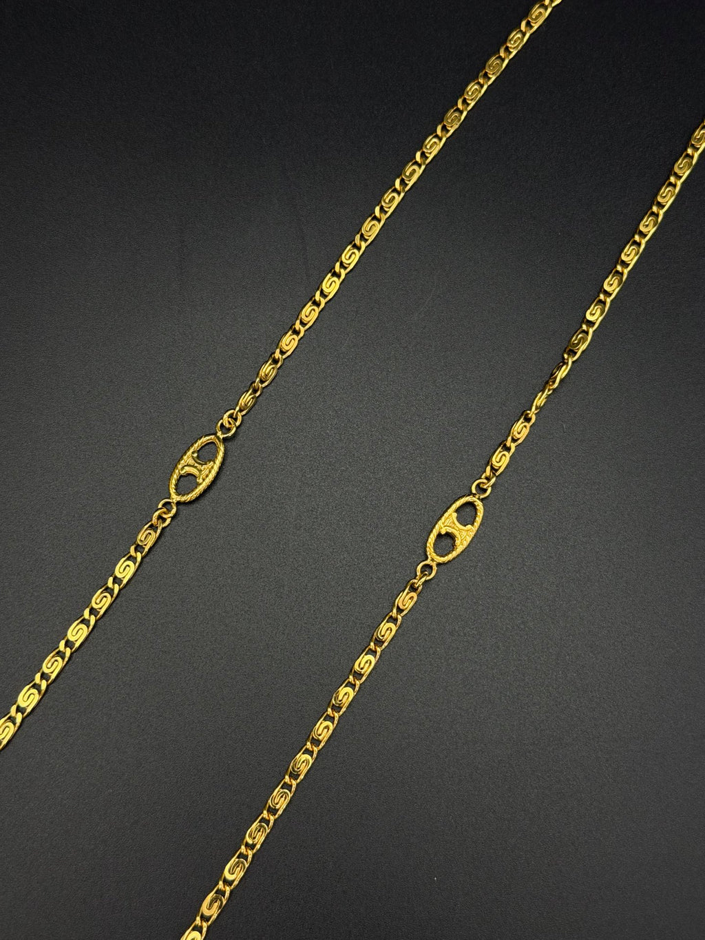 CELINE Triomphe Macadam Station Long Chain Necklace