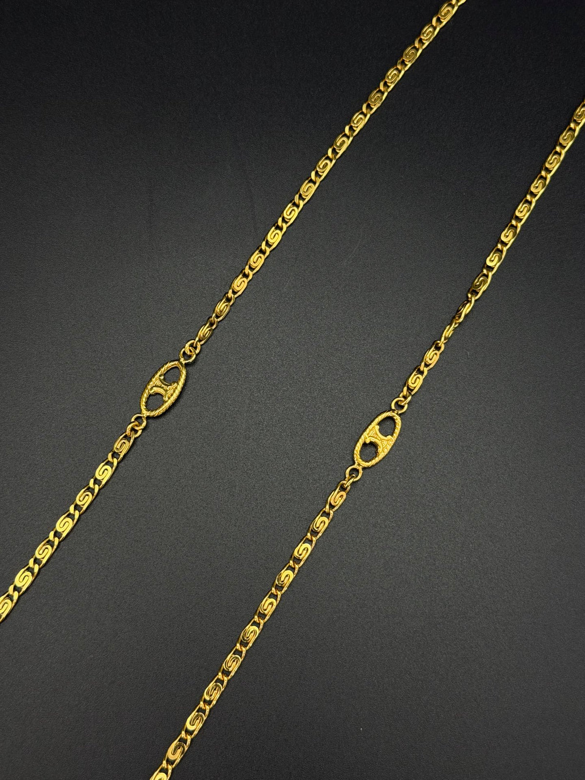CELINE Triomphe Macadam Station Long Chain Necklace