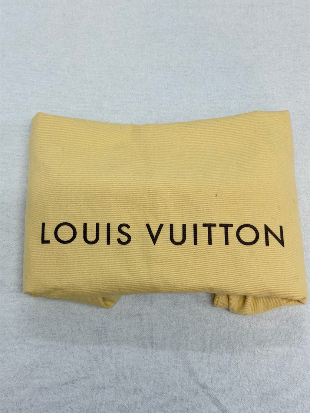 LOUIS VUITTON Limited Edition Aviator Bag