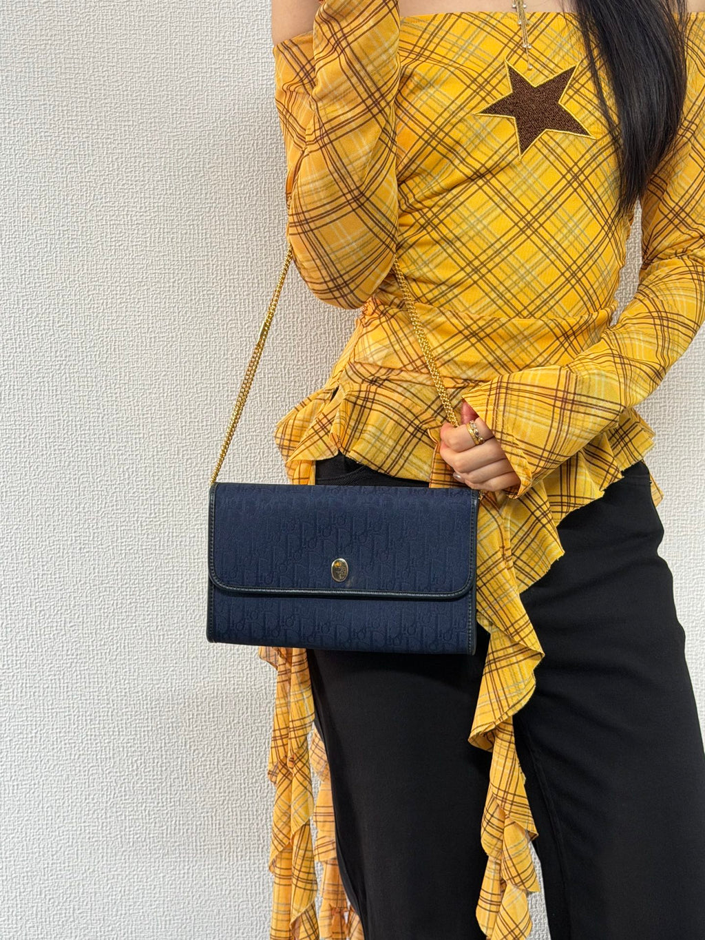 DIOR Trotter Canvas Chain bag