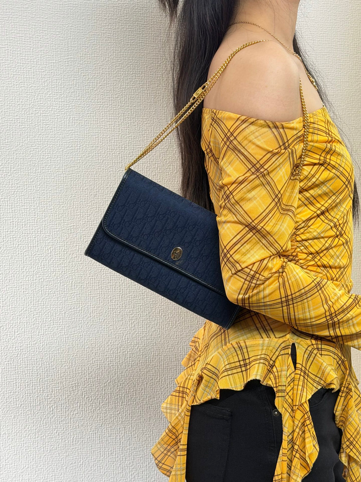DIOR Trotter Canvas Chain bag