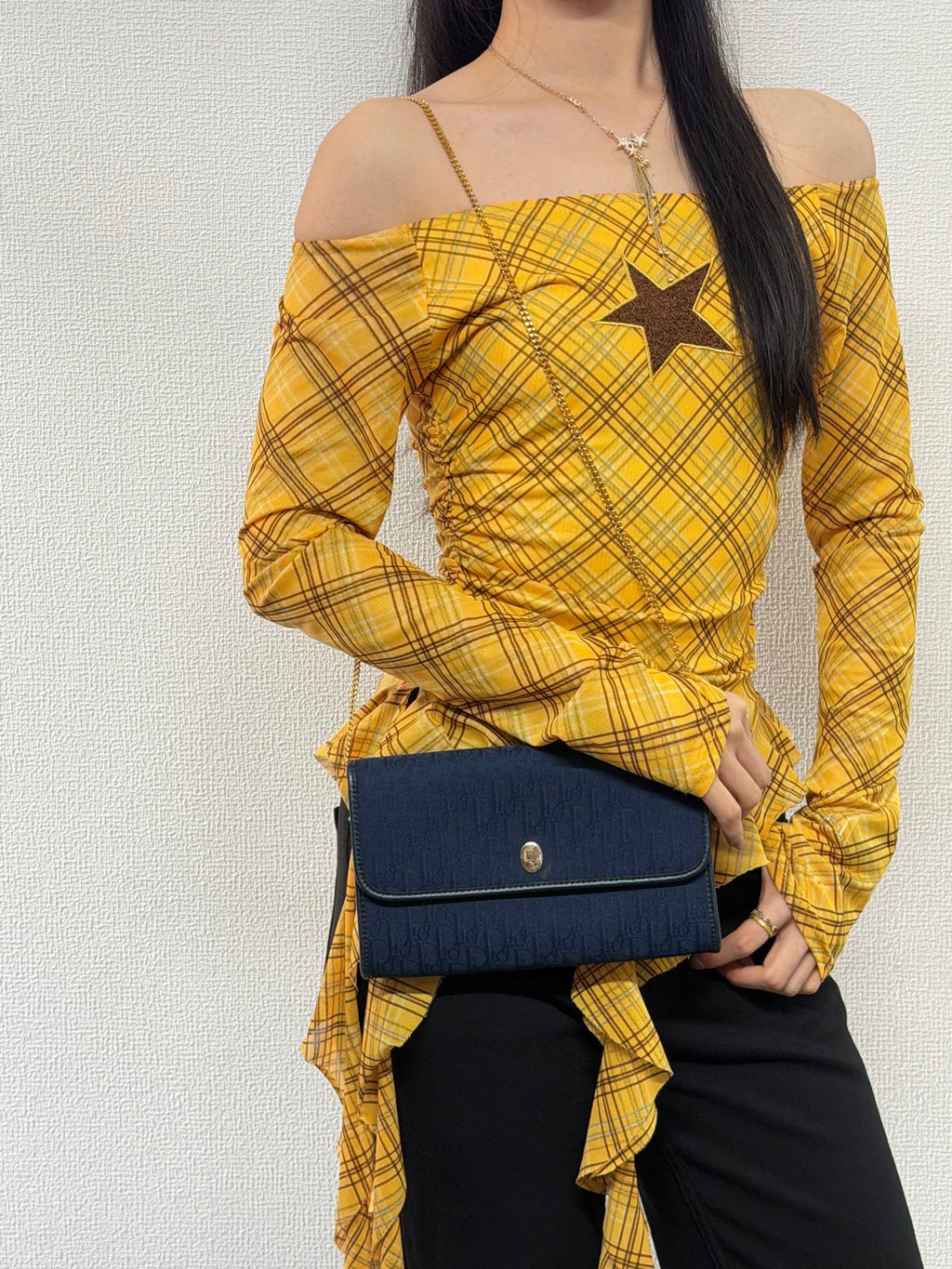 DIOR Trotter Canvas Chain bag