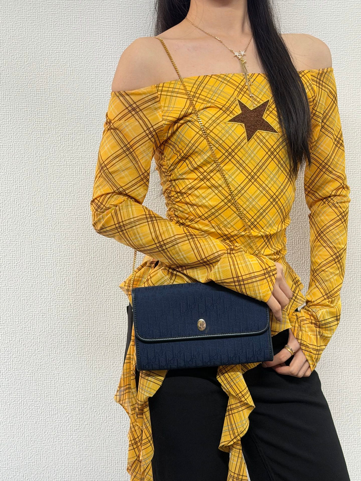 DIOR Trotter Canvas Chain bag